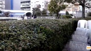 蜜桃视频一区高清视频🈲🈲色吊丝列无码专区